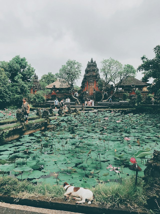 3 Nights at private pool villa in Ubud